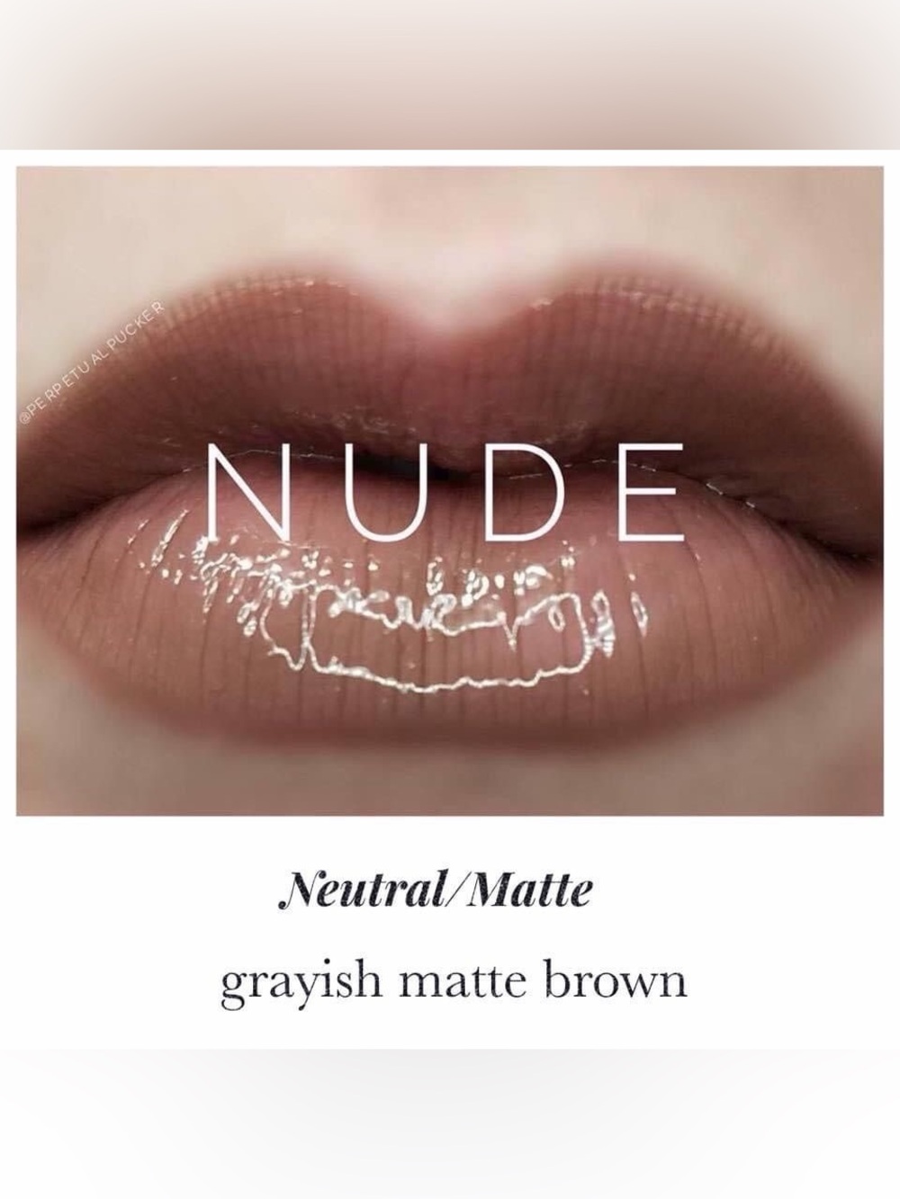 LipSense Nude Grayish Matte Brown Lipstick